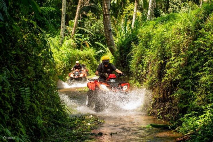 Ride the Wild: Bali ATV Expedition & Jungle Safari Adventure - Experience Highlights