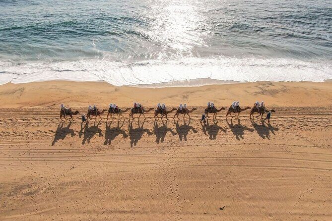 Ride the Wild Camel Safari and Off Road Rush - Good To Know