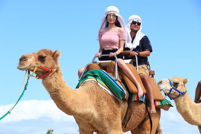 Ride the Wild Camel Safari and Off Road Rush - The Sum Up