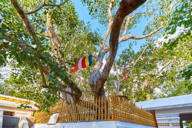 Ride Through Ruins: Anuradhapura Day Tour by Tuk Tuk - An In-Depth Look at the Anuradhapura Tuk Tuk Tour