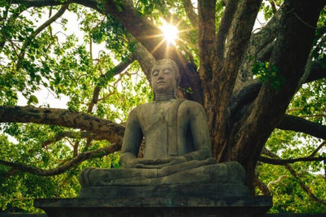 Ride Through Ruins: Anuradhapura Day Tour by Tuk Tuk - Final Thoughts