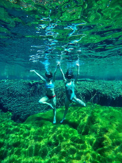 Ride to a Life-Changing Cenotes Tour - Sustainability and Environmental Practices