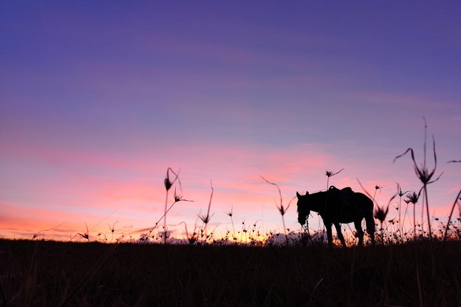 Ride to Watch the Sunset From the Highest Point of the Island - Tour Highlights