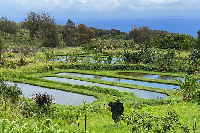 Ride Waipio on Horseback: Mountain to Ocean Working Cattle Ranch - Duration and Admission