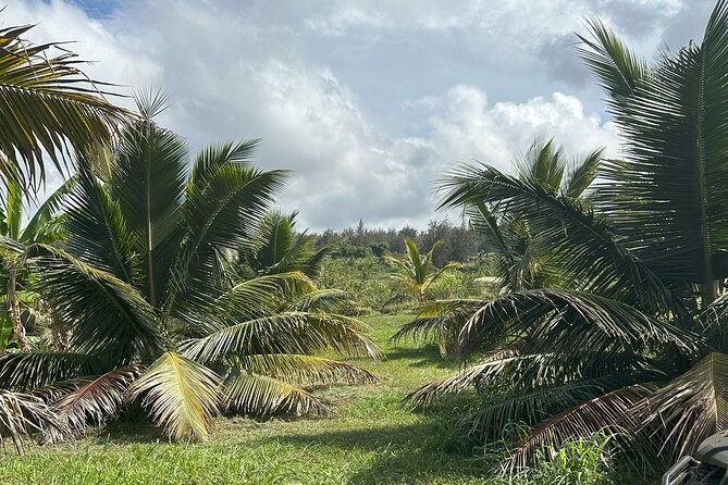 Ride Waipio on Horseback: Mountain to Ocean Working Cattle Ranch - Common Questions