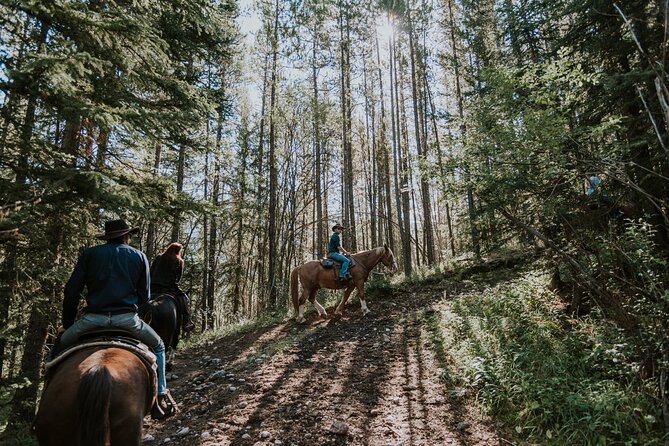 Ridge Ride 2-Hour Horseback Trail Ride in Kananaskis - Overview of the Trail Ride Experience