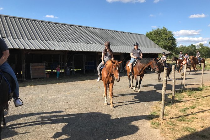Riding Course for All Levels 1/2 Day (3 Hours) - Accessibility and Capacity Information