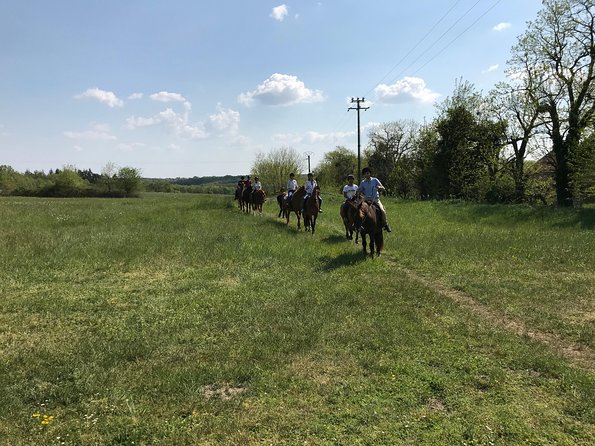 Riding Course for All Levels 1/2 Day (3 Hours) - The Sum Up
