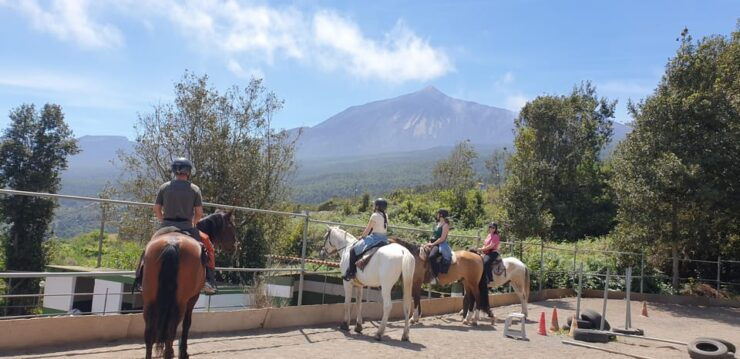 Riding Lesson for Beginners 1 Hour, Lots of Information - Good To Know