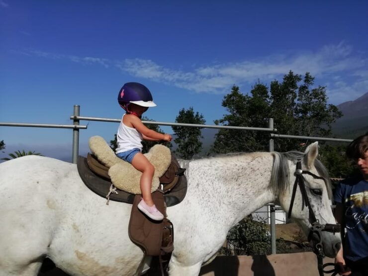 Riding Lesson for Beginners 1 Hour, Lots of Information - Lesson Details