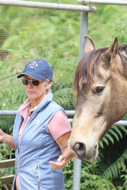 Riding Lesson for Beginners 1 Hour, Lots of Information - Facilities and Equipment