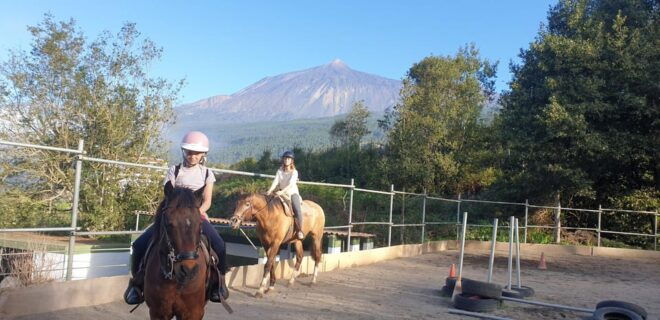 Riding Lesson for Beginners 1 Hour, Lots of Information - Booking Information