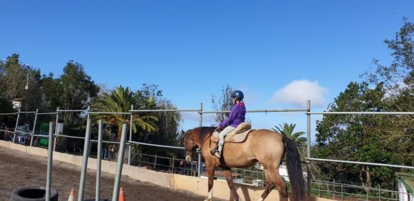 Riding Lesson for Beginners 1 Hour, Lots of Information - Duration and Price