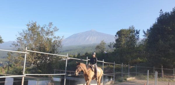 Riding Lesson for Beginners 1 Hour, Lots of Information - Cancellation Policy