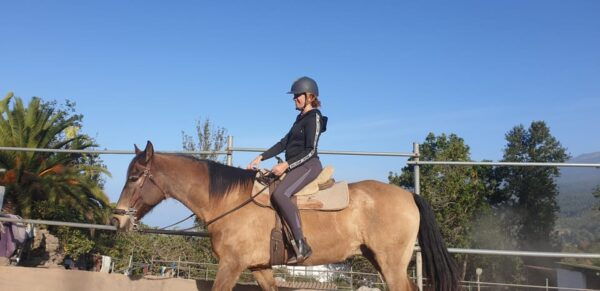 Riding Lesson for Beginners 1 Hour, Lots of Information - Age and Health Restrictions