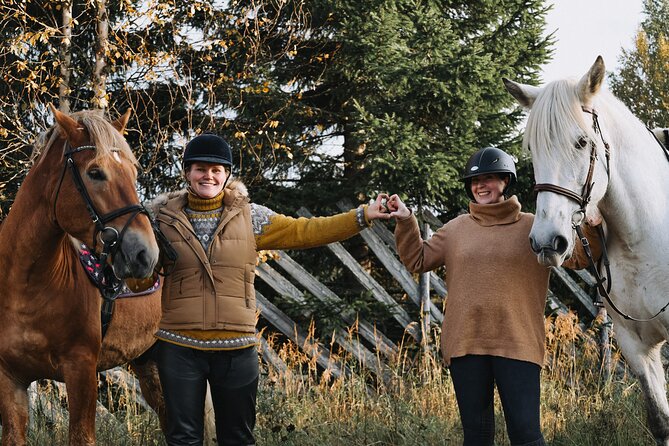 Riding Tour With Finnhorses at Santa Claus Village - Meeting and Pickup