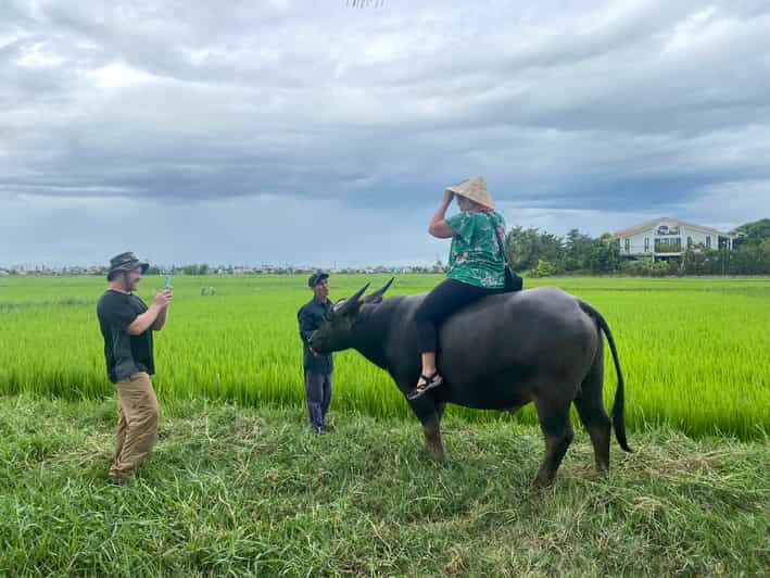 Riding Water Buffalo Hoi An Private Bike Tour - Unique Experiences