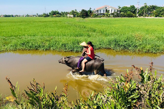 Riding Water Buffalo Hoi An Private Tour - Exploring the Picturesque Farming Villages
