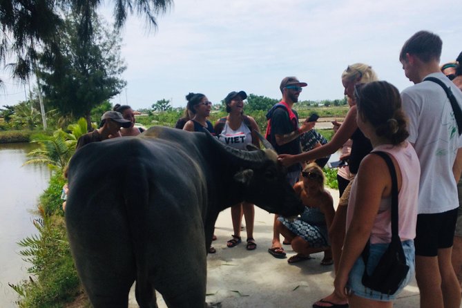Riding Water Buffalo Hoi An Private Tour - Interacting With Friendly Local Villagers