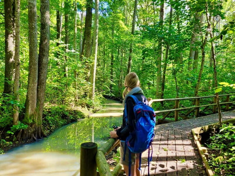 Riga: Best of Kemeri National Park In One Day - Good To Know