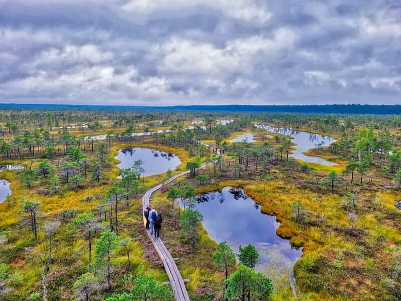 Riga: Best of Kemeri National Park In One Day - Transportation & Group Size