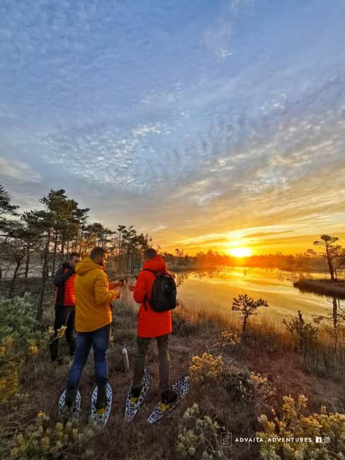 Riga: Bog-Shoe Tour in emeri National Park - How the tour begins: From city to nature’s doorstep