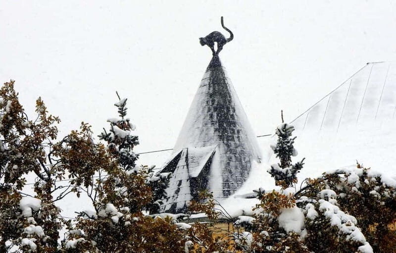 Riga for beginners - Why This Tour Offers Strong Value