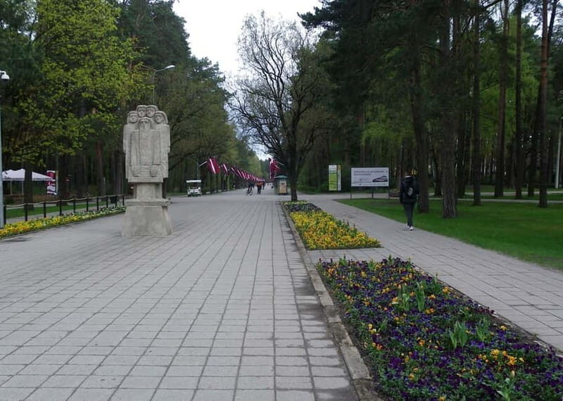 Riga: Green Spaces Bike Tour with Mezaparks and Old Town - Good To Know