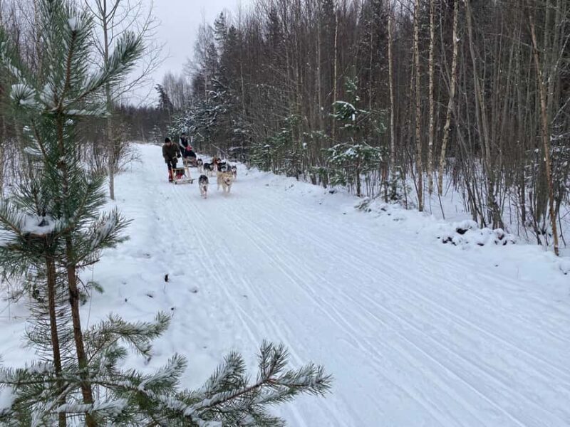Riga: Husky Dog Sledding and Ride in Bobsleigh Track - FAQ