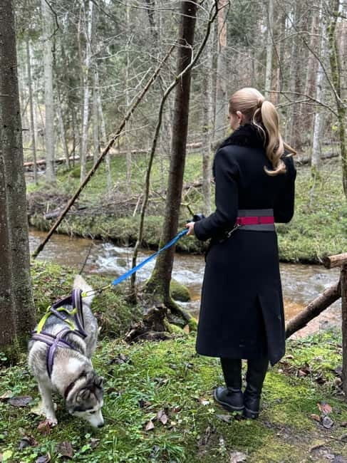 Riga: Husky Hike in the Nature Trail - Final Thoughts
