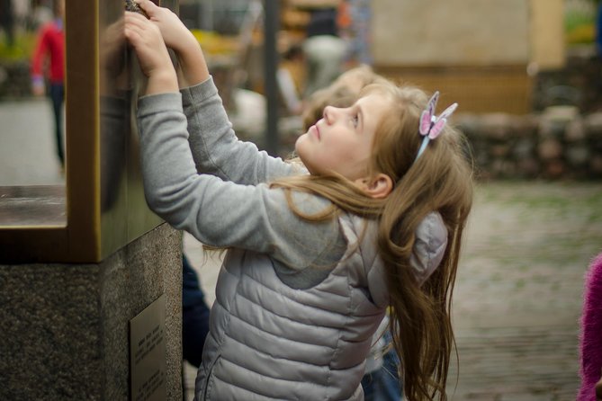 Riga Old Town Walking Tour - Pricing Information