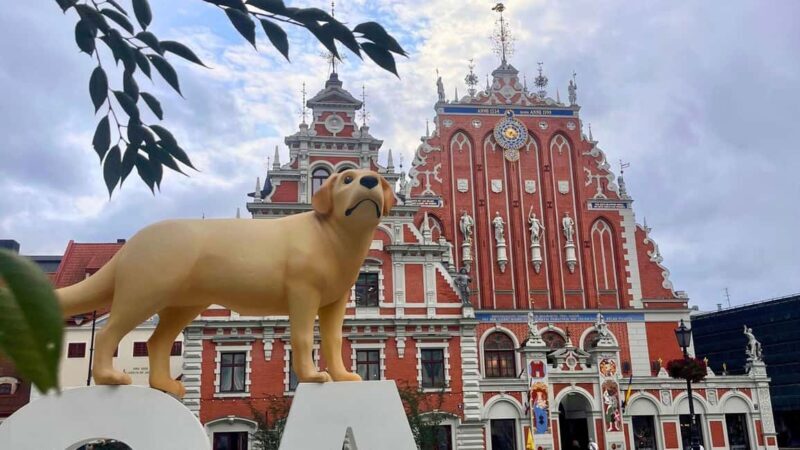 Riga Package: Canal Boat Tour + Drink & Old Town Audio Guide - Final Thoughts