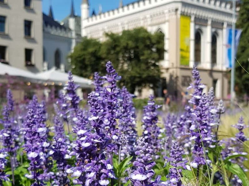 Riga: Private City Tour by car (incl. Old Town) - Good To Know