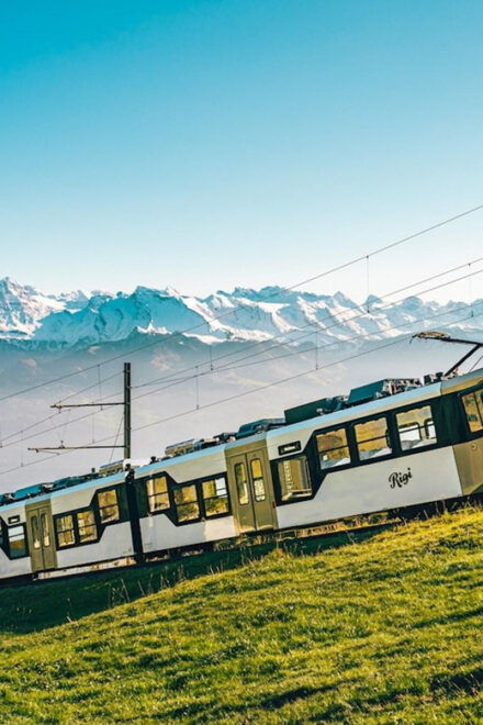 Rigibahn: Explore the Queen of Mountains on Cogwheel Trains - Booking and Cancellation Policies