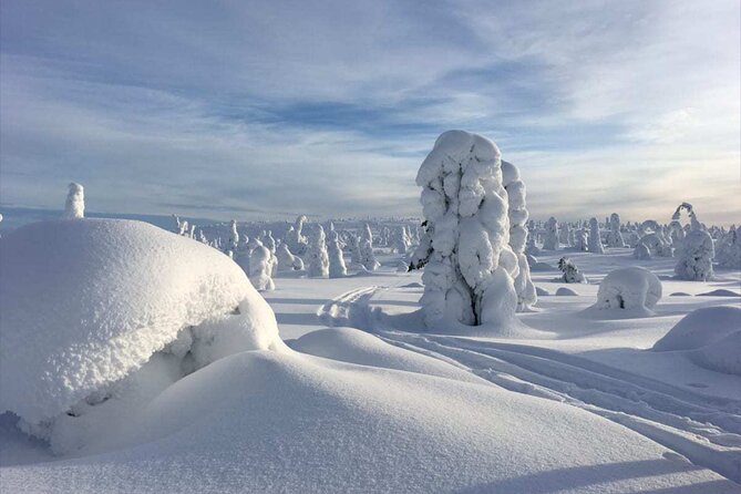 Riisitunturi National Park: Full-Day Wilderness Hike Tour & BBQ - Tour Details