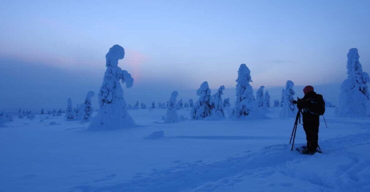 Riisitunturi National Park Private Snowshoe Experience - Tour Overview and Pricing