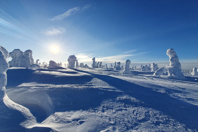 Riisitunturi National Park Private Snowshoe Experience - Good To Know