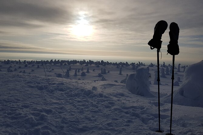 Riisitunturi National Park Private Snowshoe Experience - Cancellation Policy