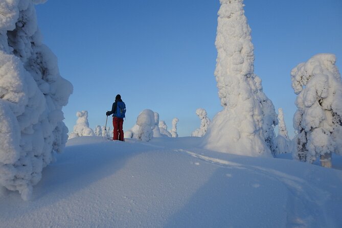 Riisitunturi National Park Private Snowshoe Experience - Pricing & Reservation Details