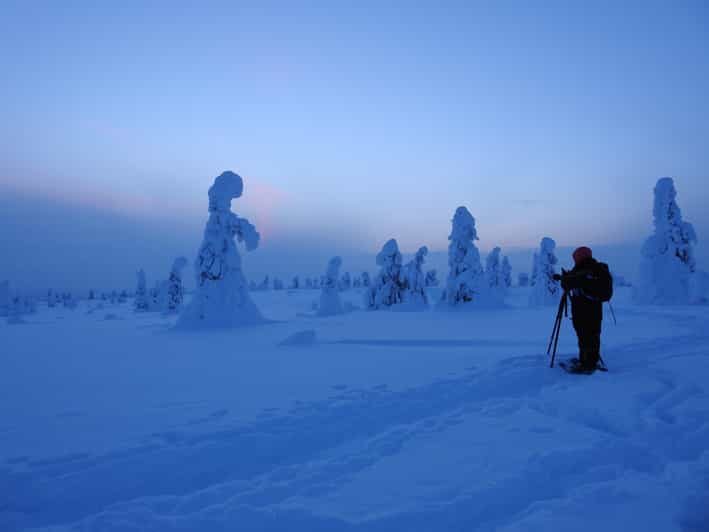 Riisitunturi National Park Snowshoe Adventure - What to Expect from the Experience