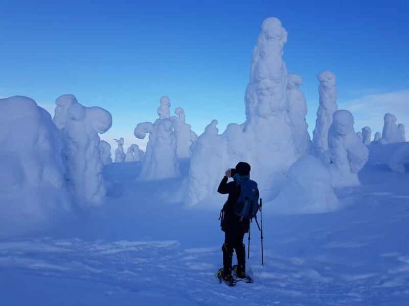 Riisitunturi National Park Snowshoe Adventure - The Route and Scenic Highlights