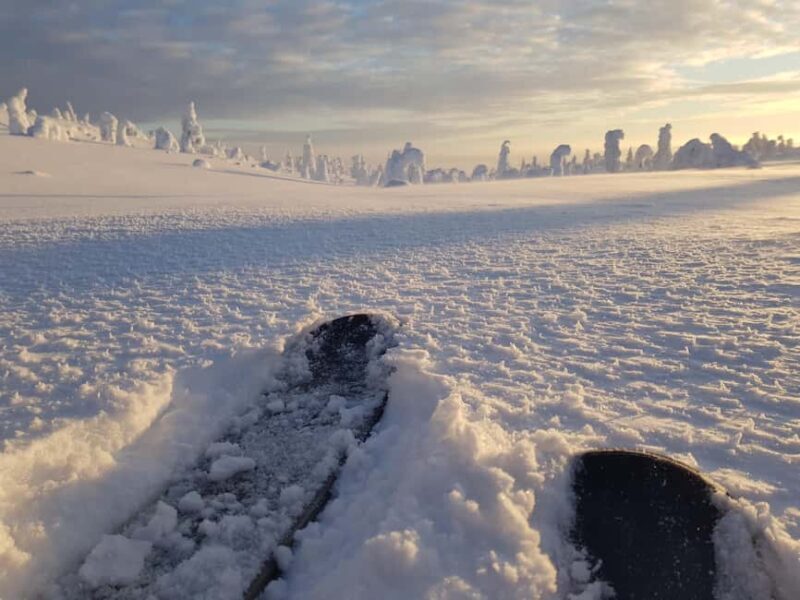 Riisitunturi National Park Snowshoe Adventure - The Guides and Sustainability