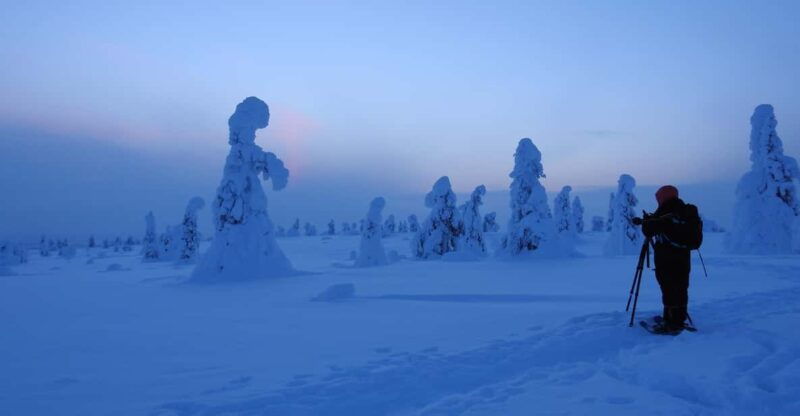 Riisitunturi National Park Snowshoe Experience - What Makes This Tour Stand Out?