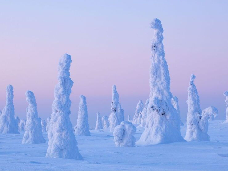 Riisitunturi National Park: Wilderness Expedition & Barbeque - Experience