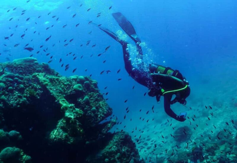 Rijeka Croatia: Discover with us the wonderful sea of Croatia! - Good To Know