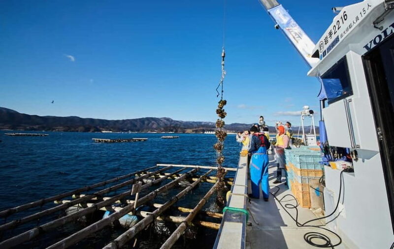 Rikuzentakata: The Finest Seafood and Culture Tour - The Itinerary: A Detailed Look