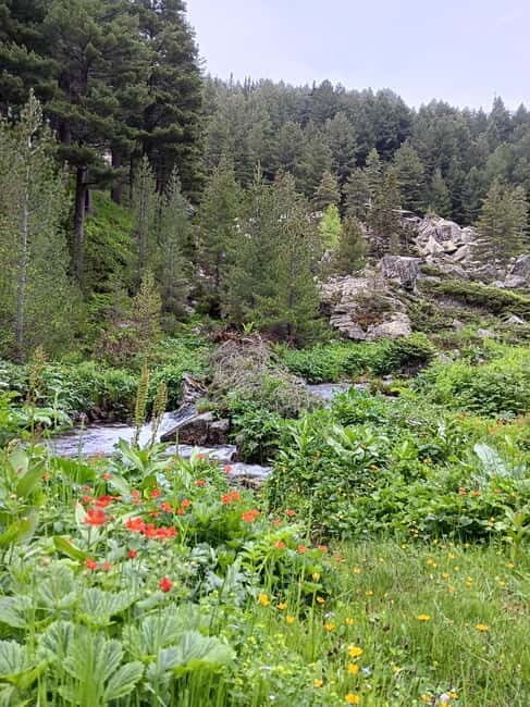 Rilska skakavitsa waterfall hiking tour - Why Choose This Tour?