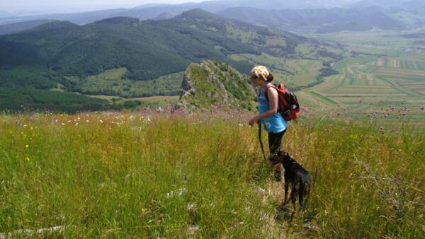 Rimetea Hike & Coltesti Fortress, From Cluj - The Sum Up