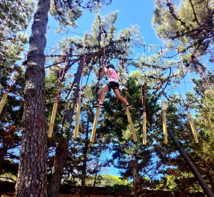 Rimini: Adventure Park Entry Ticket - What to Expect from the Routes