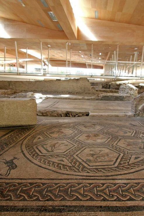 Rimini: Domus Del Chirurgo and City Museum Entry Ticket - Details of the Experience